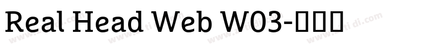 Real Head Web W03字体转换